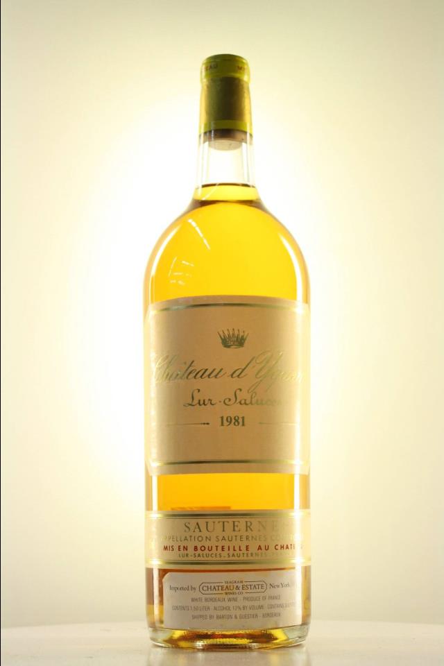 Assorted Château d'Yquem Magnums, 1981, 1988