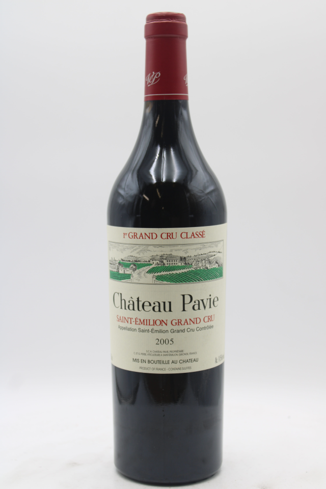 Pavie 2005