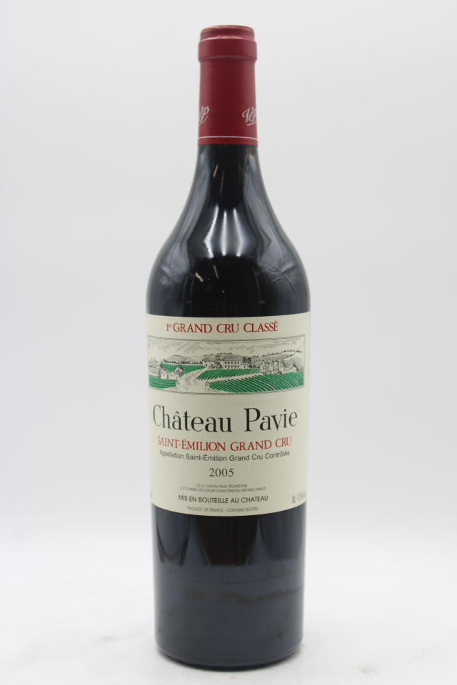 Pavie 2005