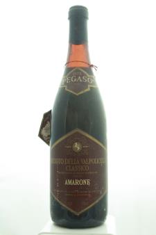 Pegaso Recioto della Valpoilcella Amarone Classico 1973