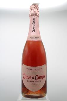 Juve & Camps Cava Brut Rosé NV