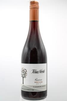 Terra Noble Pinot Noir Reserve El Algarrobo Vineyard 2013