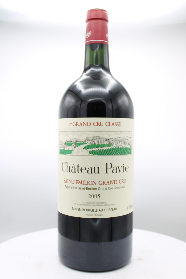 Pavie 2005