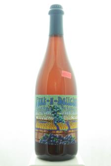 Oceanside Ale Works American Wild Ale Funk-n-Delicious Bleuet NV