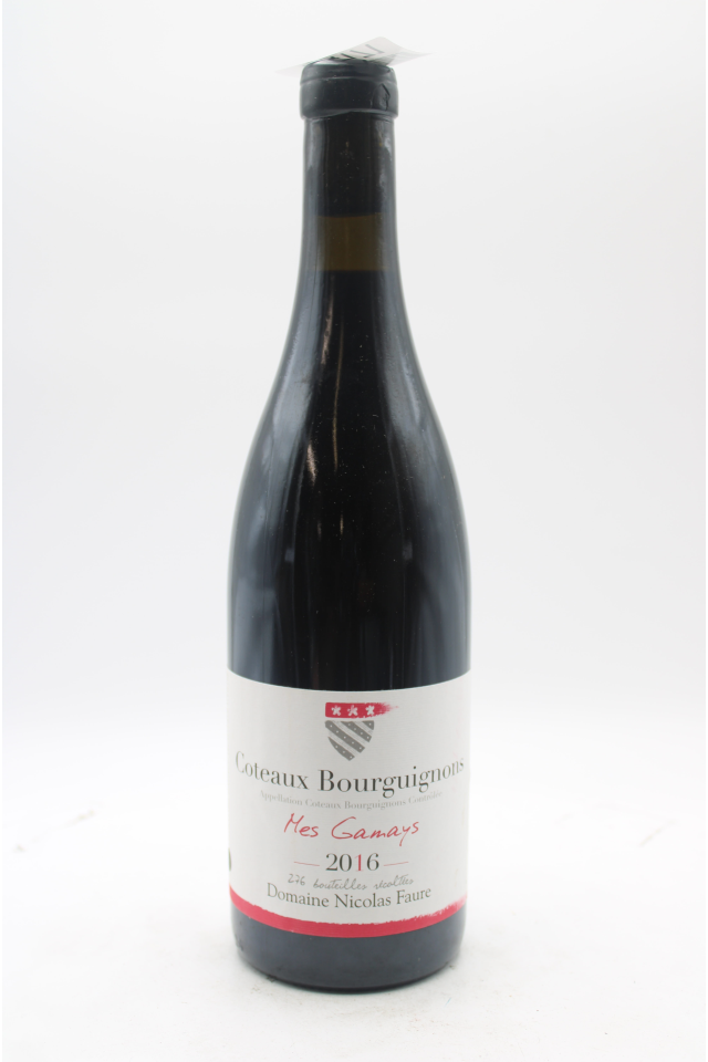 Domaine Nicolas Faure Coteaux Bourguignons Mes Gamays 2016